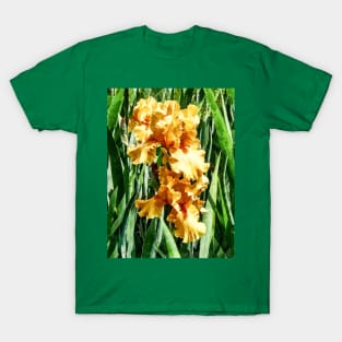 Irises - Celtic Glory T-Shirt